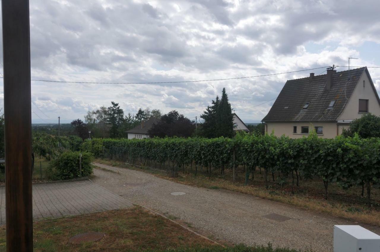Les Cerisiers Villa Bernardswiller Dış mekan fotoğraf